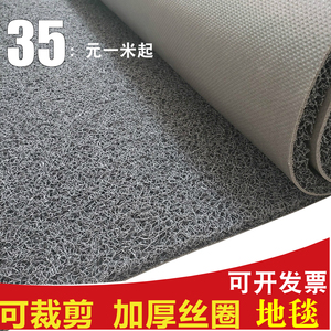 PVC塑料地毯丝圈脚垫/室外防水门口进门地垫可裁剪门垫地毯大面积