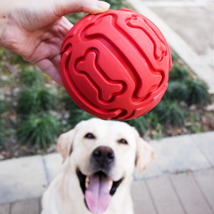 宠物玩具球互动耐咬球发声磨牙自嗨解闷大型犬金毛拉布拉多橡胶球