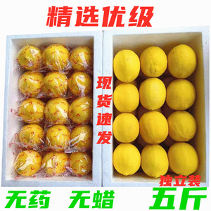 四川安岳新鲜黄柠檬精选一二级5斤装尤力克酸水果包邮坏必赔