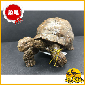 正版PAPO正品仿真野生动物模型儿童玩具乌龟 加拉帕戈斯象龟50161