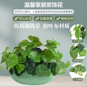 仿真铜钱草小盆栽花卉绿植盆景室内植物小荷叶塑料花客厅摆件插花