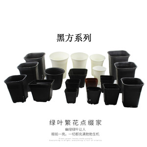 多肉盆栽种植大号万象装饰花盆塑料小黑方育苗杯处理款小号加厚
