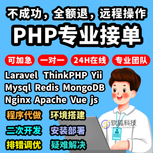 php问题解决web代码项目二次开发bug优化调试源码搭建定制部署