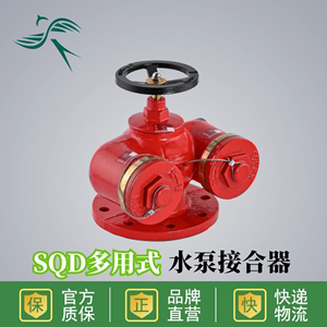 多用式地上水泵接合器SQD100-1.6新式消防室外150新型止回 安全阀