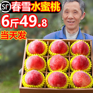 春雪水蜜桃桃子新鲜水果4五月应季10斤脆甜毛油密香软时令胭脂红