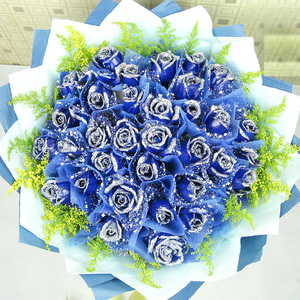佛山珠海汕头江门韶关茂名同城订花鲜花速递母亲节生日礼物蓝玫瑰