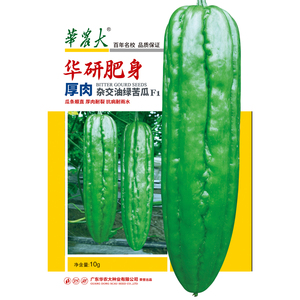 华南农业大学中早熟蔬菜华研肥身厚肉耐裂抗病耐雨水杂交苦瓜种子