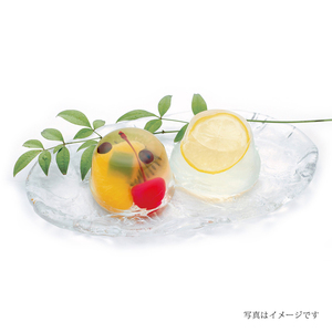 日本 夏季限定 杂果/柠檬蜂蜜果冻X黑蜜蕨饼礼盒 9枚