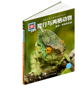 爬行与两栖动物 壁虎林蛙和巨蜥珍藏版 精装 德国少年儿童百科知识全书 一起来了解蛙类的一生如何变化 蜥蜴怎样在水面上奔跑等