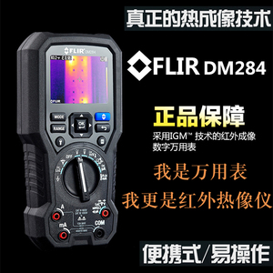 FLIR/菲力尔DM284红外热成像数字万用表CM174钳形功率计166钳形表