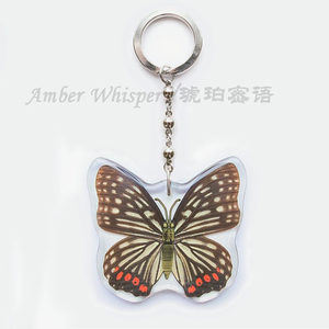 创意礼品日韩女不锈钢金属钥匙链蝴蝶翅标本钥匙扣非卡通树脂挂件
