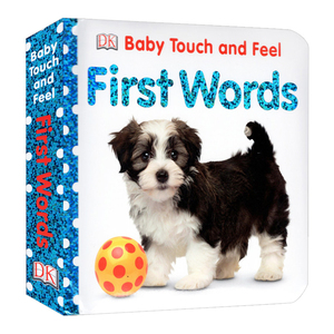 现货 英文原版 First Words Baby Touch and Feel