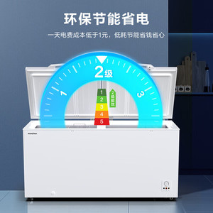 Ronshen/容声 BD/BC-506ZMMA 506升大容量冰柜商用单温冷柜