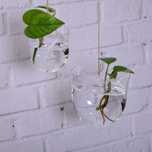 绿罗水养植物包邮吊饰品小鸟水培植物小吊瓶家居装饰花瓶玻璃透明