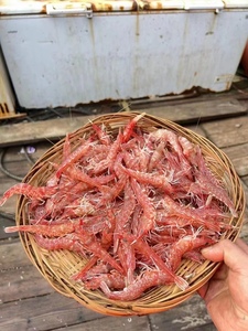 樱花虾野生刺身红虾活冻天然虾海鲜水产400克/盒(此品种个头小)