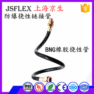 防爆挠性链接管 防爆金属软管穿线平塑管 BNG橡胶挠性管