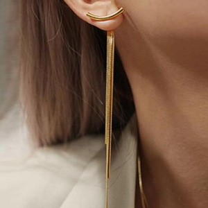 tassel earrings for women sexy 欧美蛇骨流苏金属长款耳环女