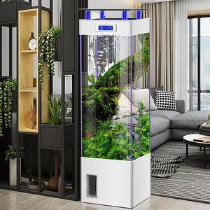 超白玻璃金鱼缸客厅小型鱼缸家用电视柜旁生态免换水落地水族箱