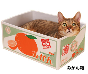 猫窝猫玩具猫抓板能磨爪的猫窝纸箱 底层瓦楞猫抓板宠物纸盒房子
