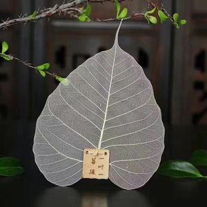 天然菩提叶树叶脉茶滤茶漏网过滤器创意个性茶道零配
