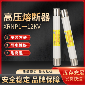 高压高分段能力限流熔断器XRNP1-12/0.5A10 24KV 35KV 6.3A保险管