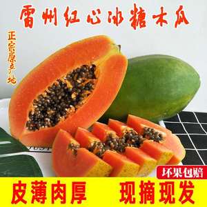广东雷州冰糖青皮红心牛奶木瓜当季水果孕妇水果现摘现发净果8斤