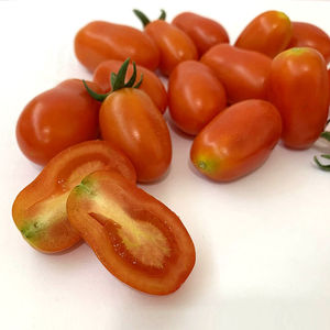 冰糖花生果番茄种子苗超甜樱桃小圣女果种籽孑四季阳台盆栽特高产