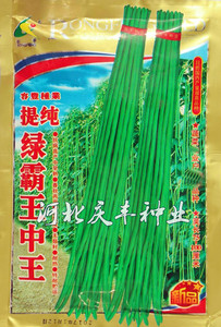 绿霸王中王 精品绿条长豇豆籽 条整齐高产抗病豆角种子  蔬菜种子