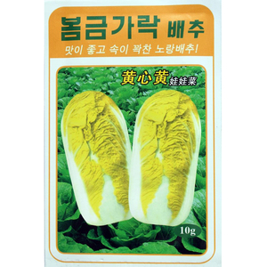 春季播黄心娃娃菜蔬菜种子黄金娃娃菜种子 韩国进口四季娃娃菜籽