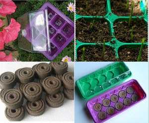 9孔10孔塑料育苗盒穴盘 育苗箱保温保湿 花卉蔬菜种子育苗工具