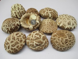 大花菇250g冬菇4-6-8cm香菇天白干货农家食用菌蘑菇湖北随州特产