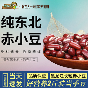 赤小豆2斤新黑龙江长粒赤小豆非红豆赤豆赤小豆赤豆