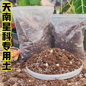 天南星科专用土龙鳞春羽龟背竹海芋秋海棠蔓绿绒花烛营养土种植土