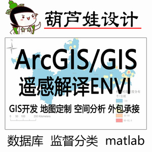 gis空间分析GIS地图制作arcgis代做gis作图开发定制envi遥感解译