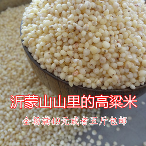 高粱米五谷杂粮促销山东沂蒙山农家自种脱皮高粱米天然白蜀黍500g