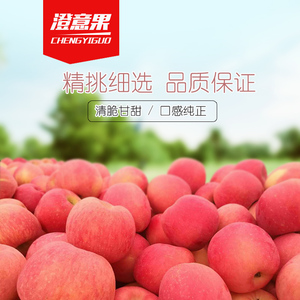 澄城农家现摘非冰糖心洛川苹果孕妇甜脆新鲜水果红富士6枚装儿童