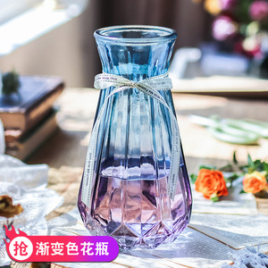 花瓶玻璃透明客厅插花北欧水培富贵竹现代简约干花瓶子水养绿萝大