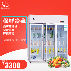 安淇尔 双开门展示柜三门厨房冰箱商用冷柜水果蔬菜冷藏保鲜冰柜