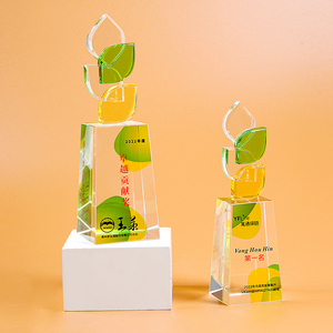 东南创意新款树叶造型环境环保主题优质水晶奖杯个性定制颁奖纪念