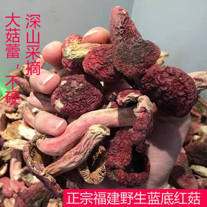 新货红菇野生福建干货500g红蘑菇礼盒正宗月子红姑娘龙岩香菇特产