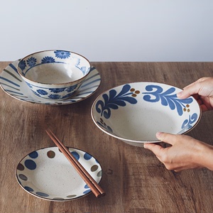 日本进口餐具陶瓷盘子家用日式和风圆盘釉下彩南风系列菜盘意面盘