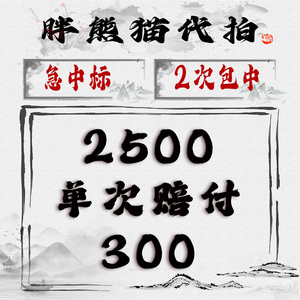 胖熊猫拍牌代拍沪牌上海拍牌代拍车牌沪牌代拍沪牌照高效中标