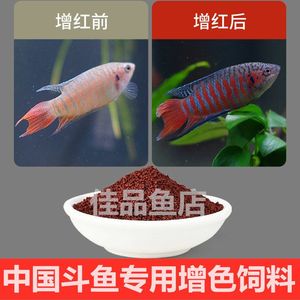 中国斗鱼增色增艳增红高蛋白饲料小颗粒上浮型原生观赏鱼鱼食鱼粮