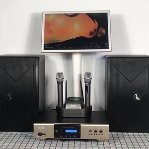KTV音箱小金钢音响现代整套台湾进口音箱无线麦克风点歌系统家庭