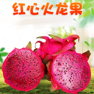 【水果缤纷】薄皮红心火龙果5斤热带广西海南京金都一号红肉水果