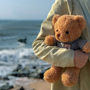 可爱泰迪熊毛绒玩具棕色小熊公仔娃娃抱抱熊玩偶玩具熊生日礼物