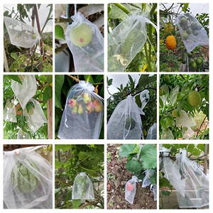 水果套袋防鸟防虫专用网袋葡萄无花果桃子芒果苹果袋草莓保护袋子
