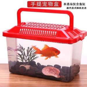 儿童塑料小金鱼盒子QQ鱼瓶小孩手提宠物盒饲养乌龟盒透明金鱼缸