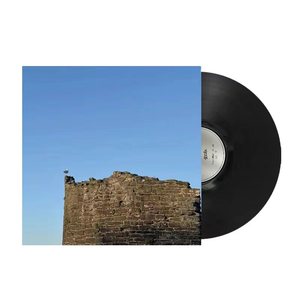 盘尼西林乐队 - 岛与黎明 10寸黑胶LP全新现货