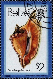 伯利兹1980年 海洋生物贝壳海螺贝类邮票2s 雄鸡凤凰螺 盖销 上品